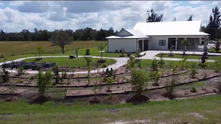 Backhoe worth $25,000 stolen from North Fort Myers home