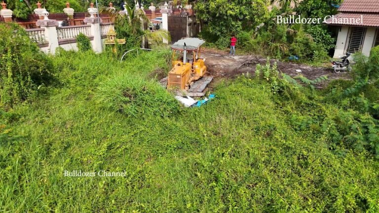 Skills Operator Bulldozer Komatsu D31p Working Clearing Forest And Breakdown Tree Size 40X40 Meter