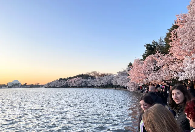 The park service’s Tidal Basin upgrade will be its most expensive rehabilitation job