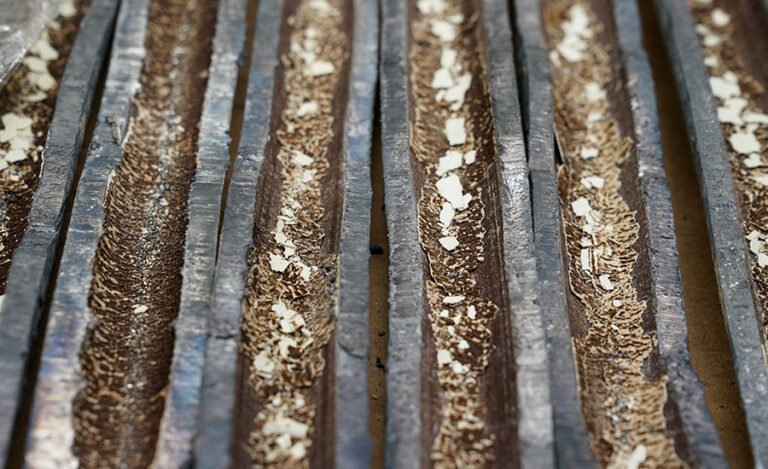 Lead water lines in the US must be replaced within a decade under the EPA’s final rule