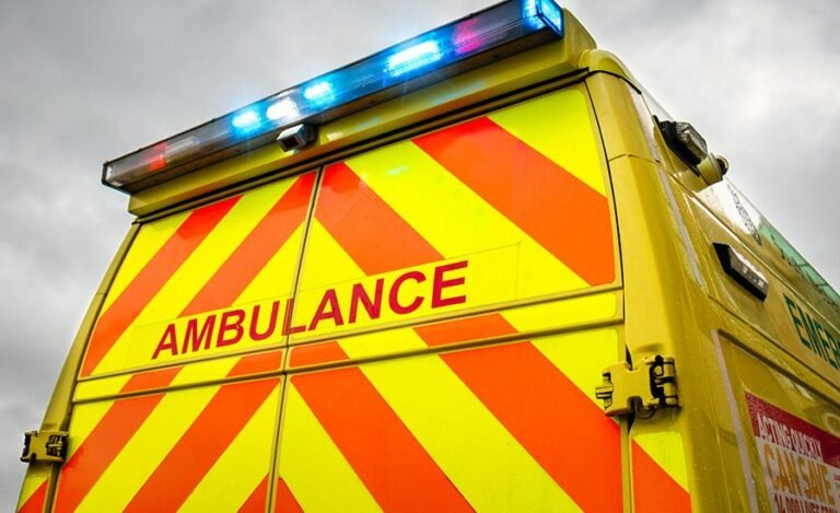 A man, believed to be a project worker, dies in the fall at the STO Building Group site in London